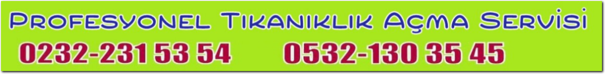 izmir tıkanıklık açma